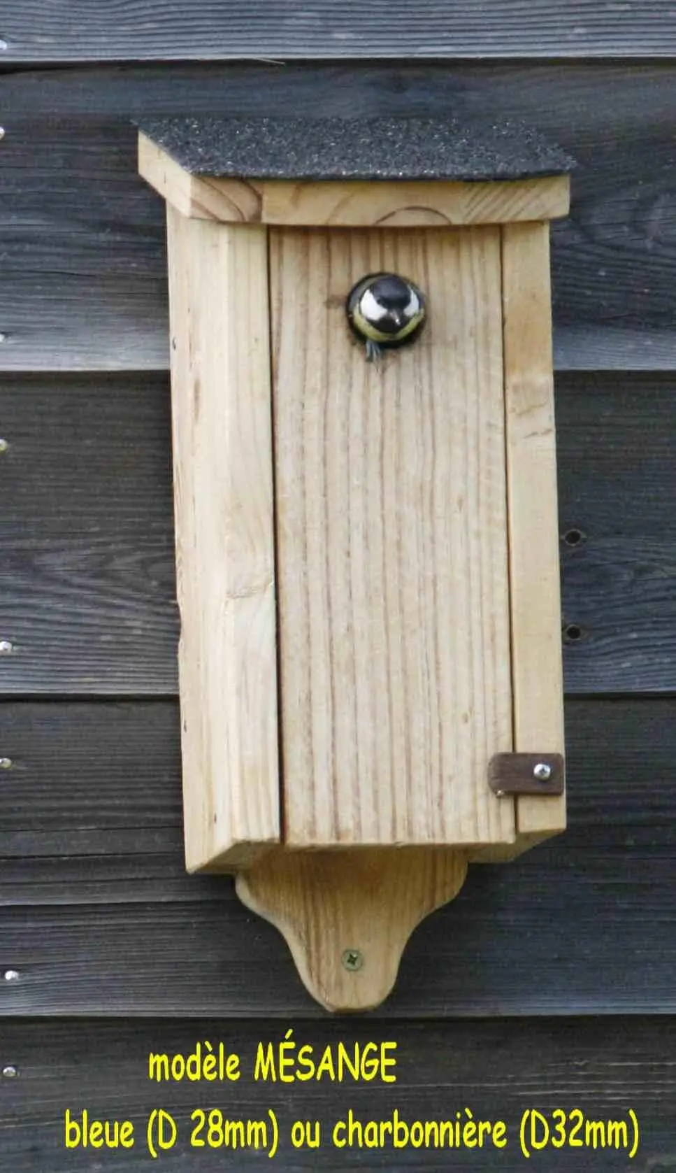 trou d'envol mésange charbonnière