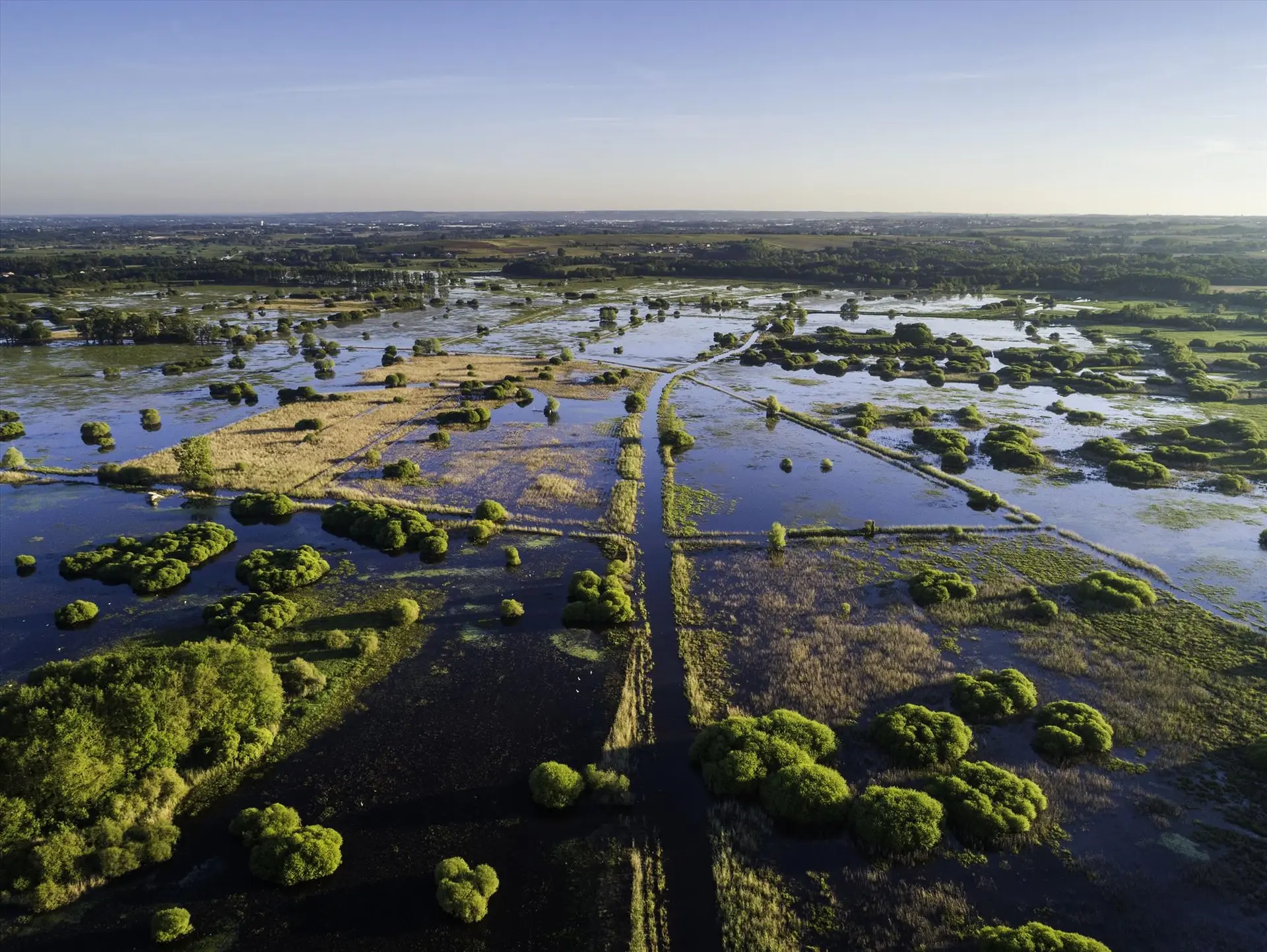 Balade - Vue sur le Marais de Goulaine