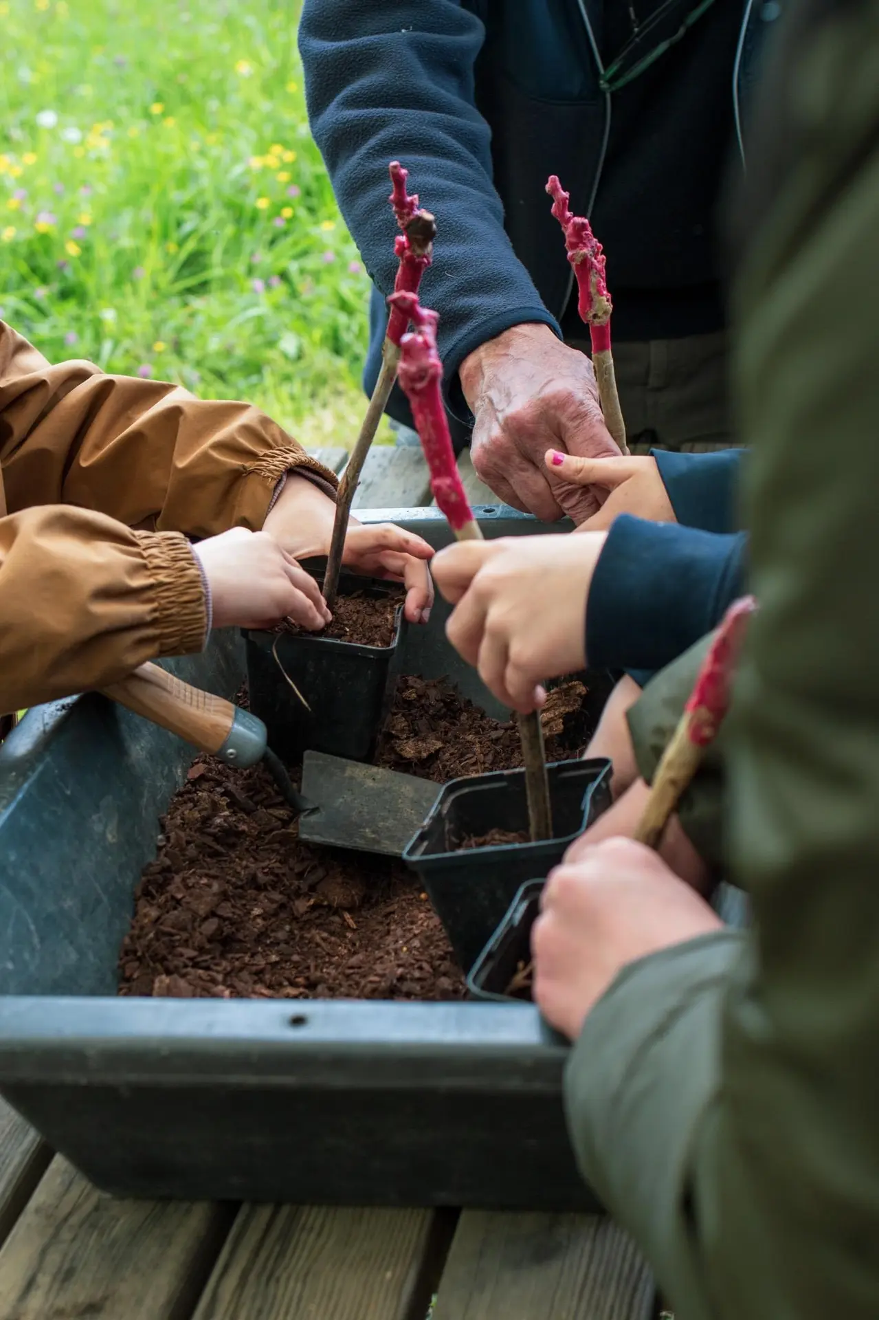 Atelier plantation de pied de vigne, Le Pallet