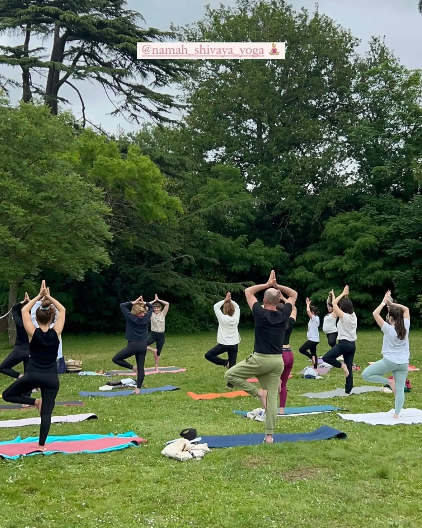 Hatha yoga