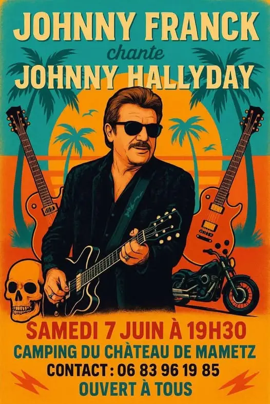 Affiche Johnny chante Hallyday