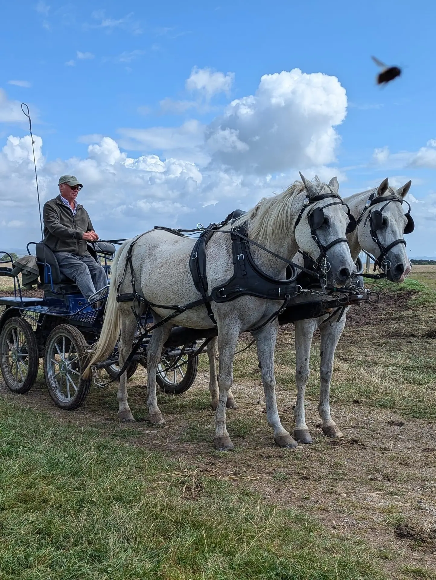 Les Cavaliers de St-Georges (1)