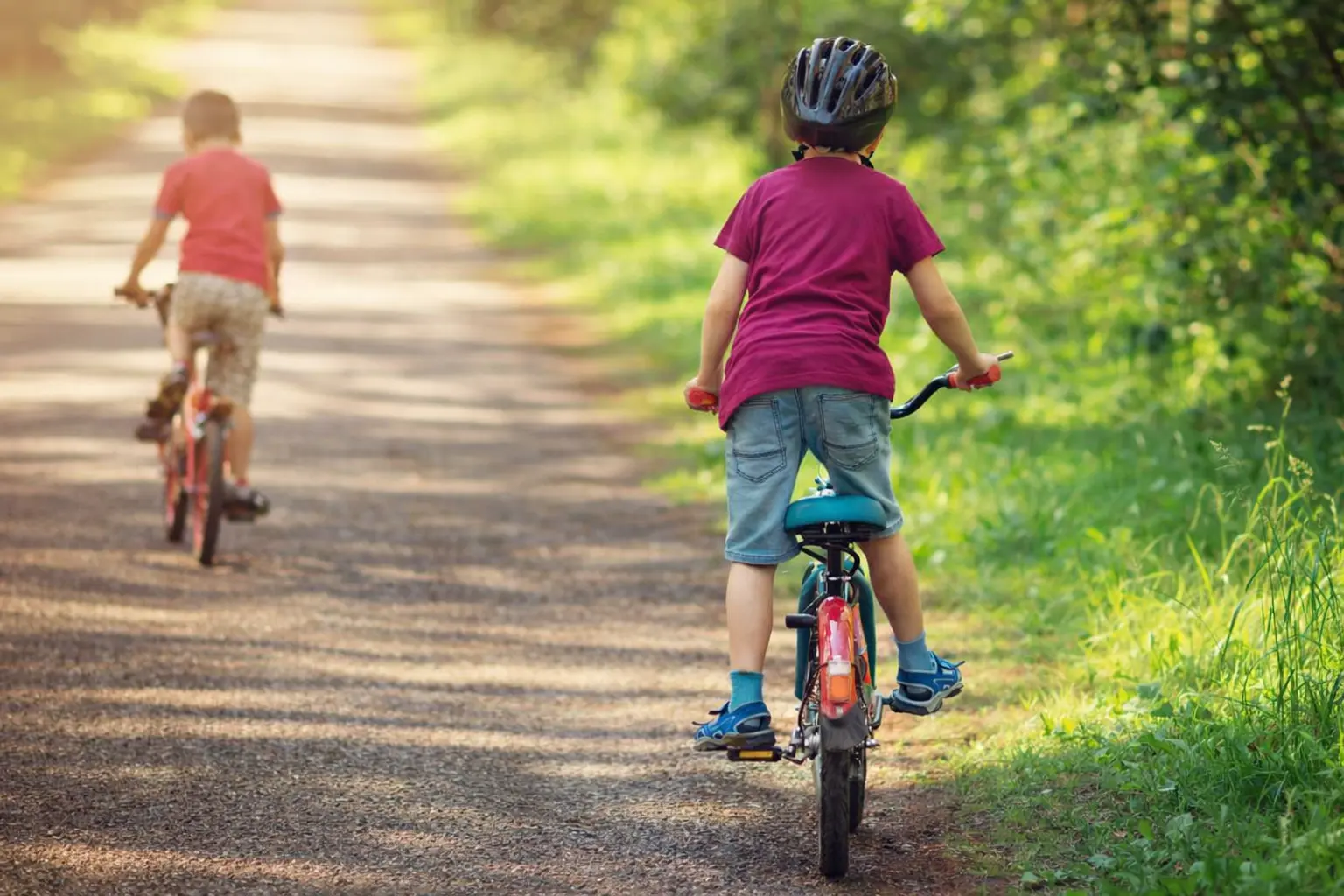 Balade en vélo sous les arbres