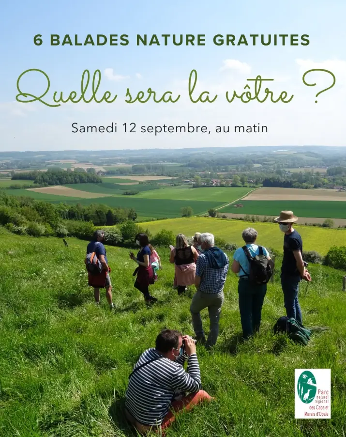 6 Balades natures Gratuites pour les 40 ans du PNR