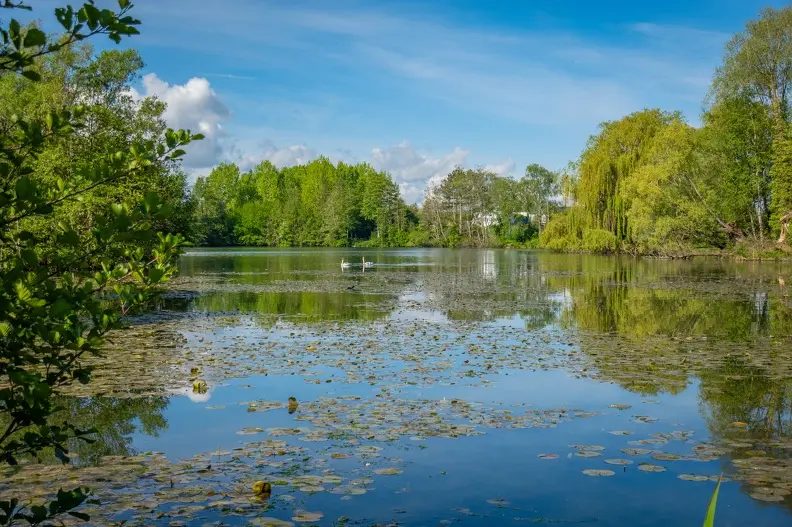 Ballastières Étang photothèque SPL