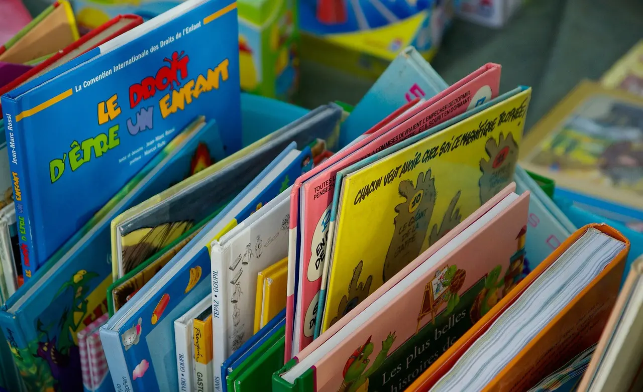 Brocante_livres enfants BD_ illustration non contractuelle_DR