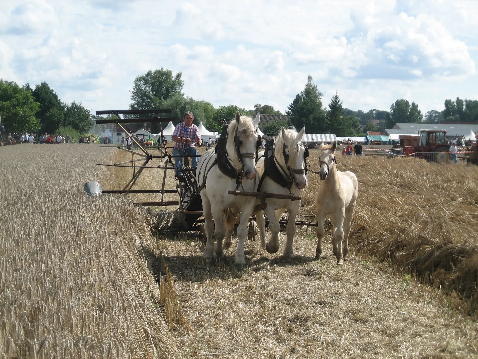 Fête de la Moisson 2008 à HOULLE