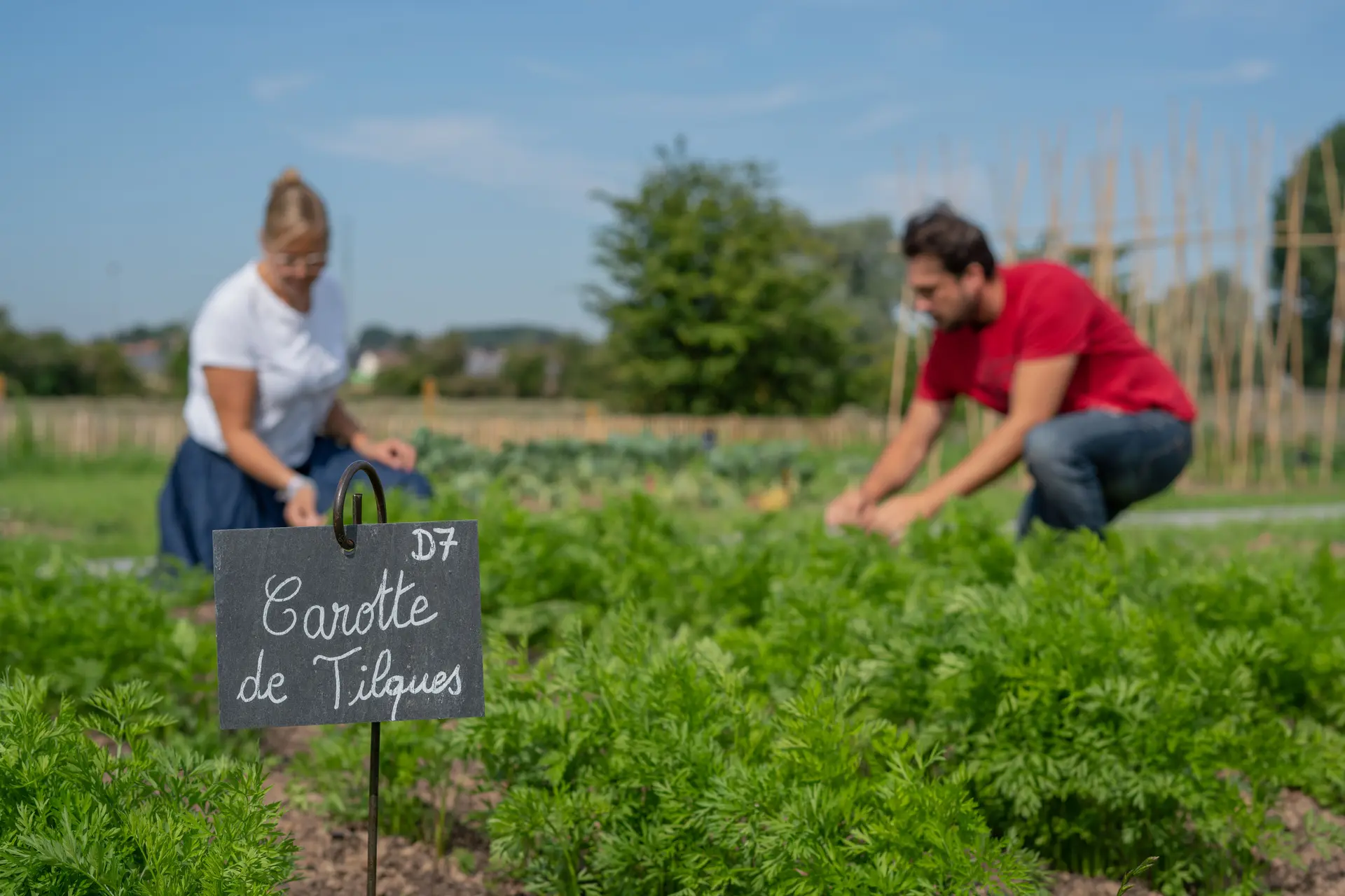 Jardin du Potager Conservatoire Couple