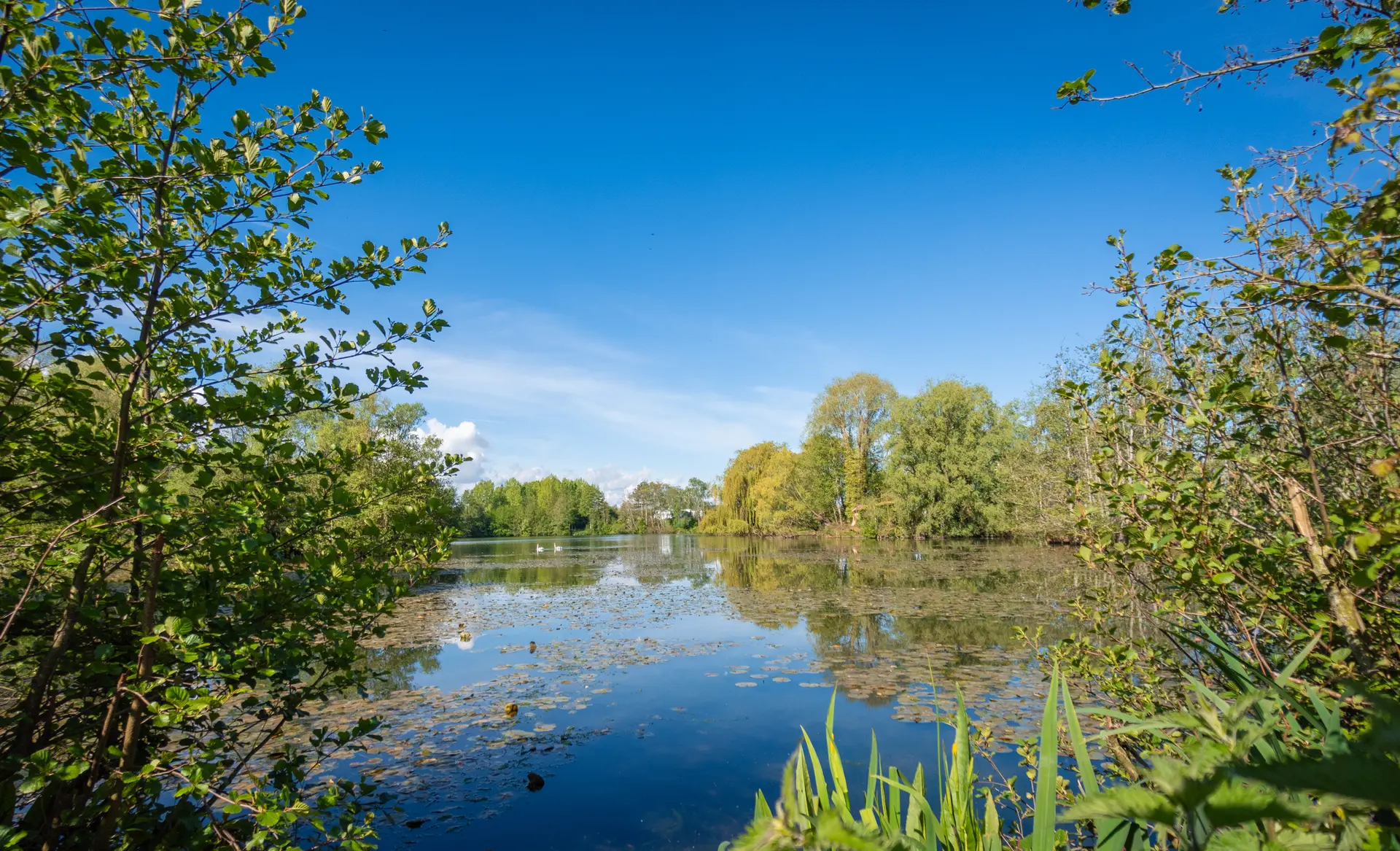 Les Ballastières - Aire-sur-la-Lys