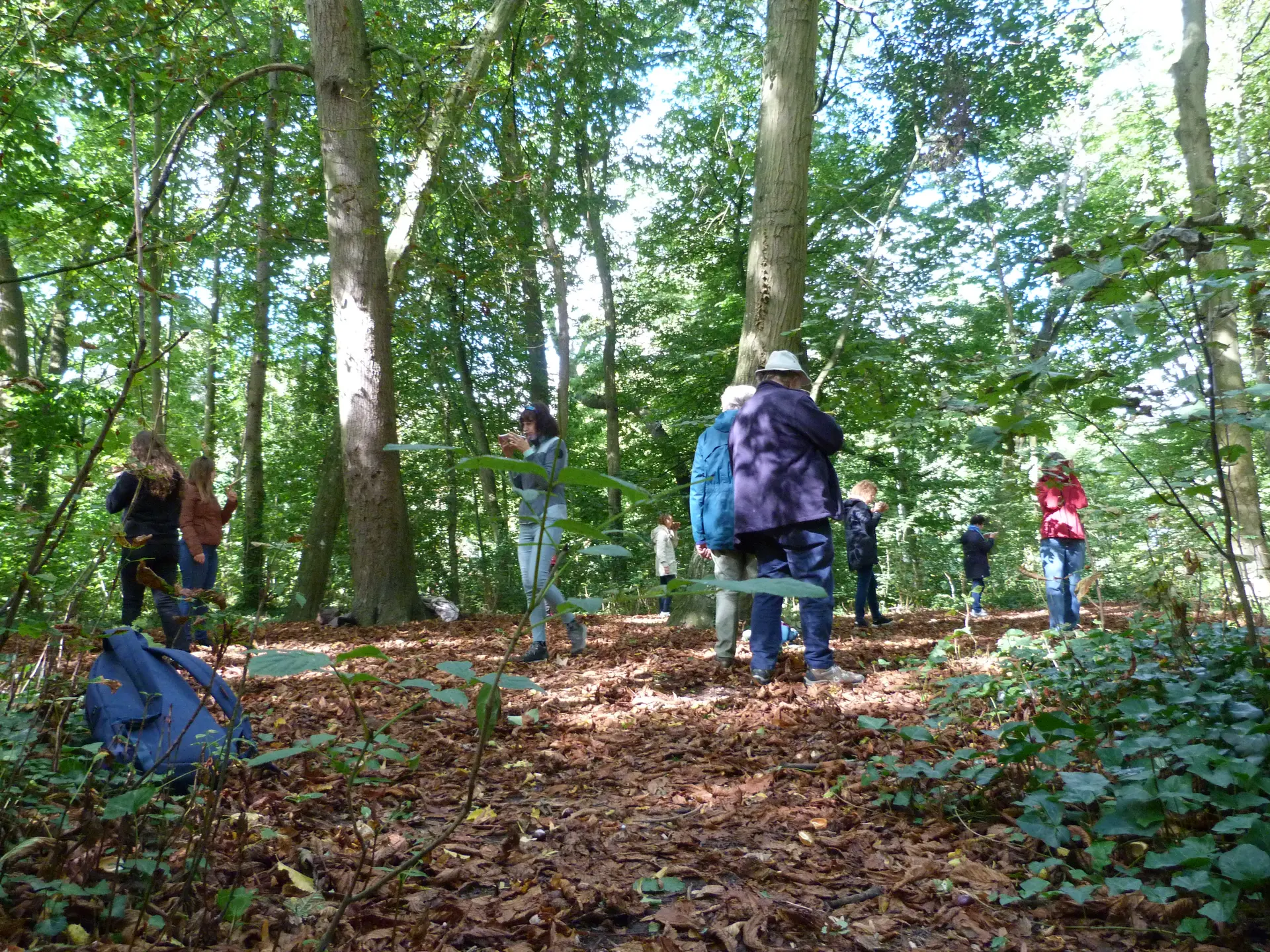 Paysage sensible adulte©L'Agence