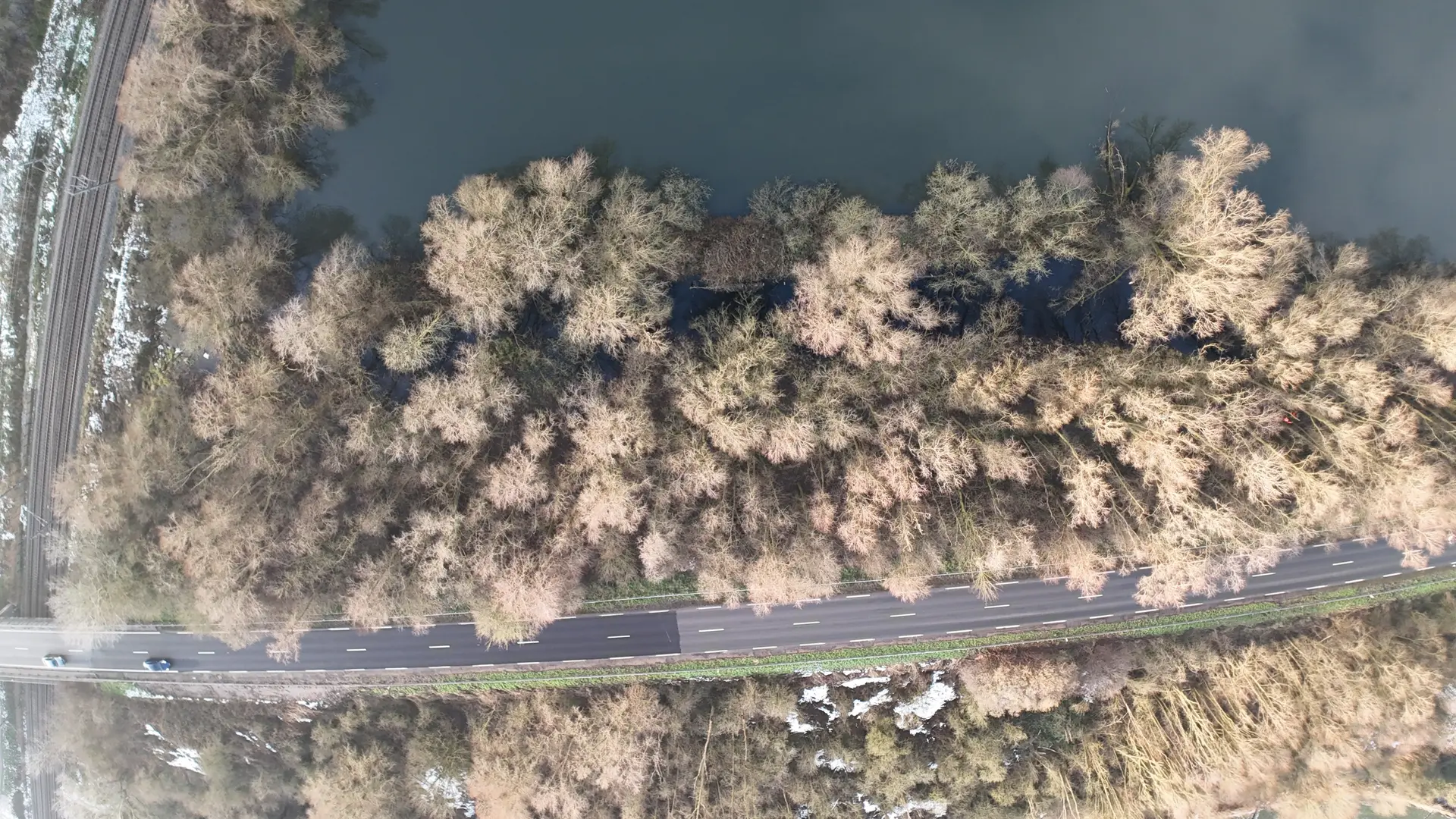 Frayère à brochets, le 14 janvier 2025 - Photo 2