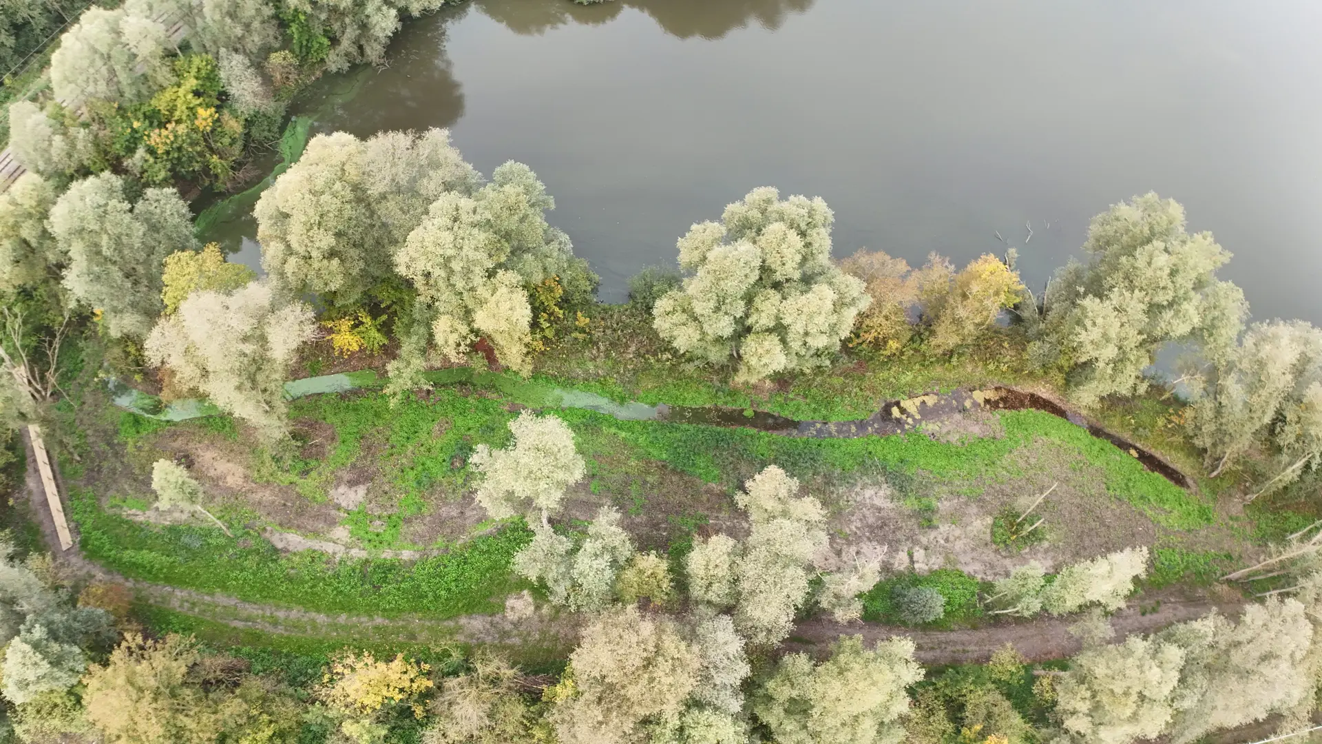 Frayère à brochets, le 17 octobre 2025 - Photo 3(1)