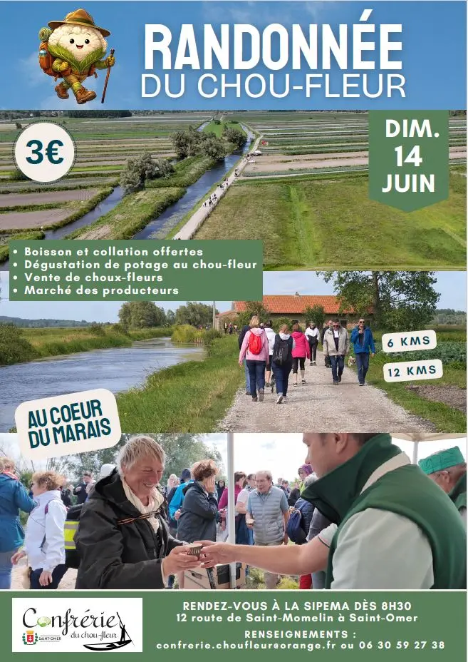 Randonnée du chou-fleur 2026 le dimanche 14 juin à Saint-Omer