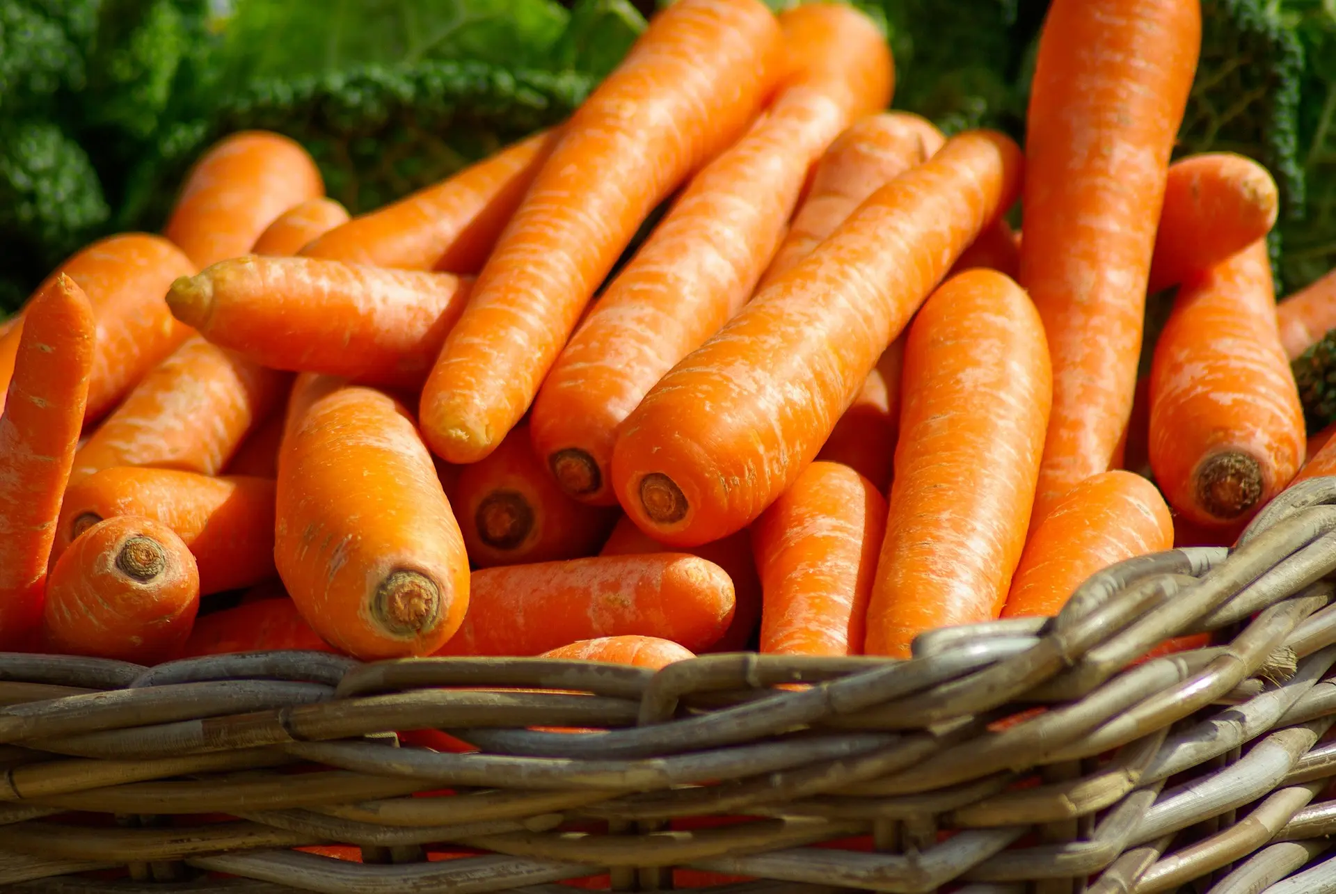 marché_légumes