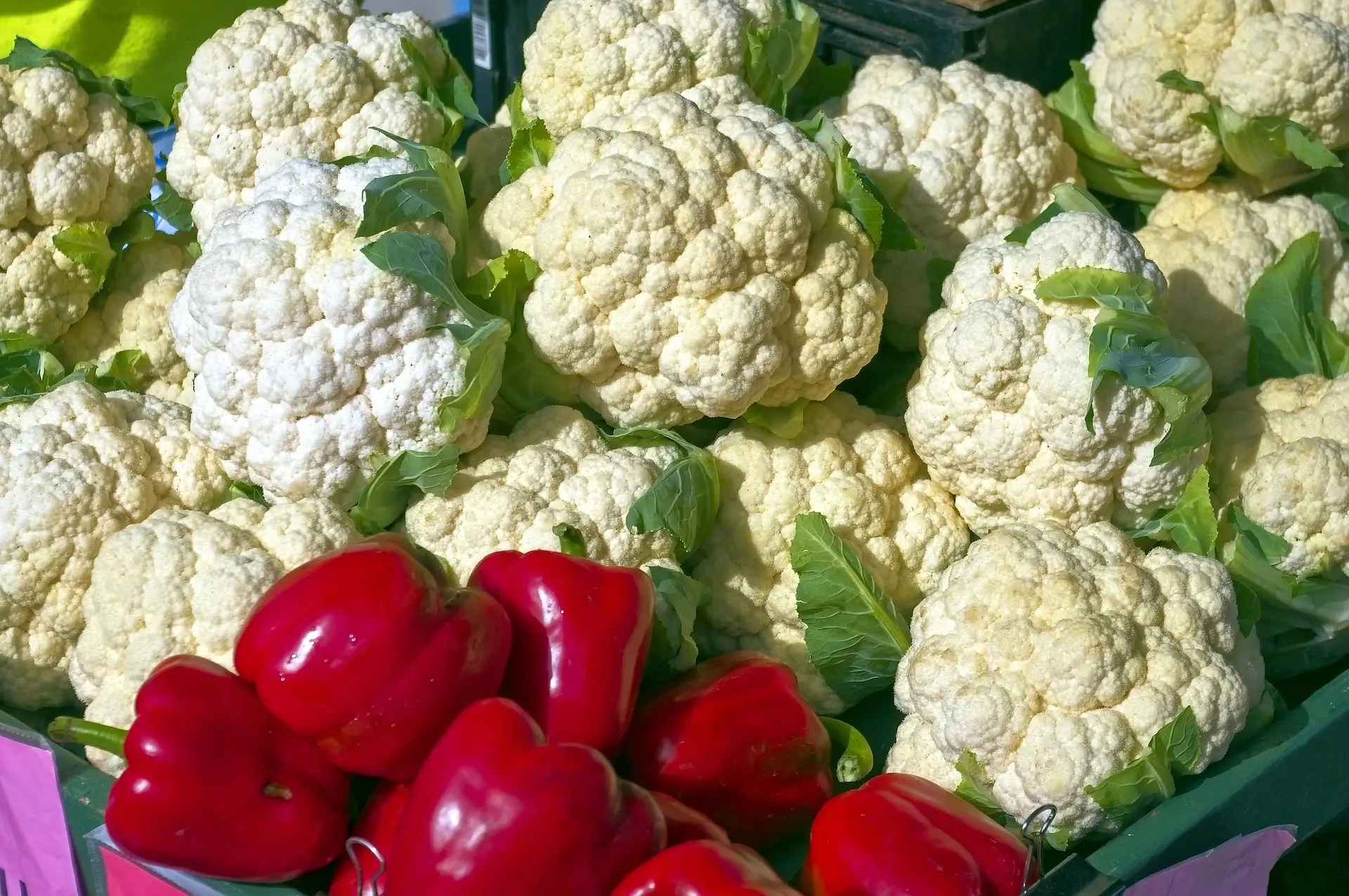 marché_légumes