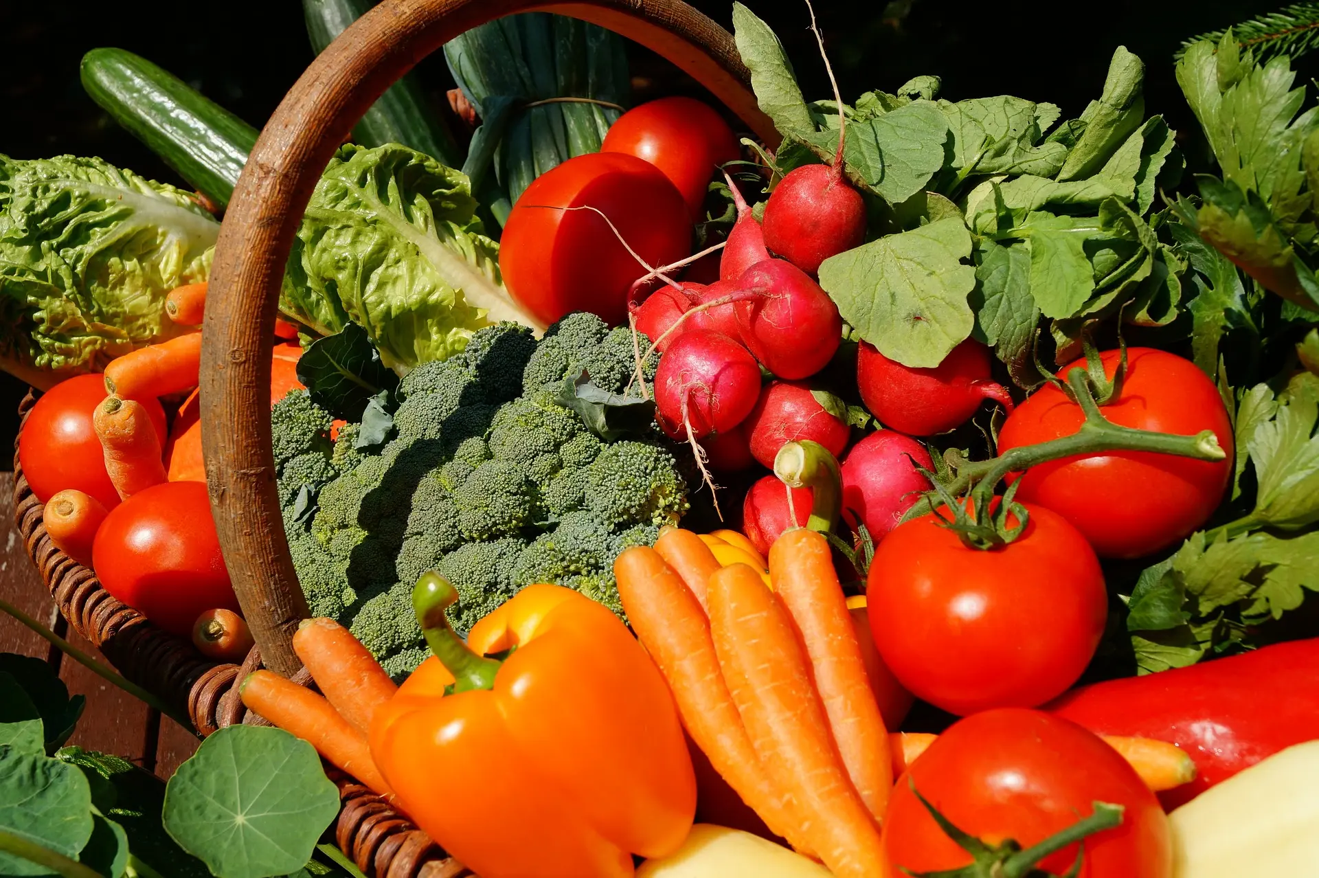 marché_légumes