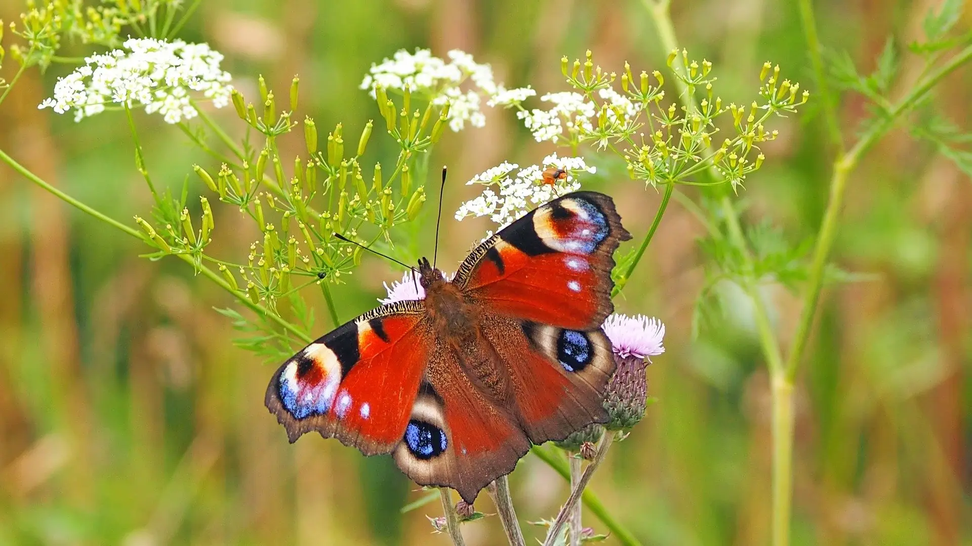 atelier vacances nature au jardin