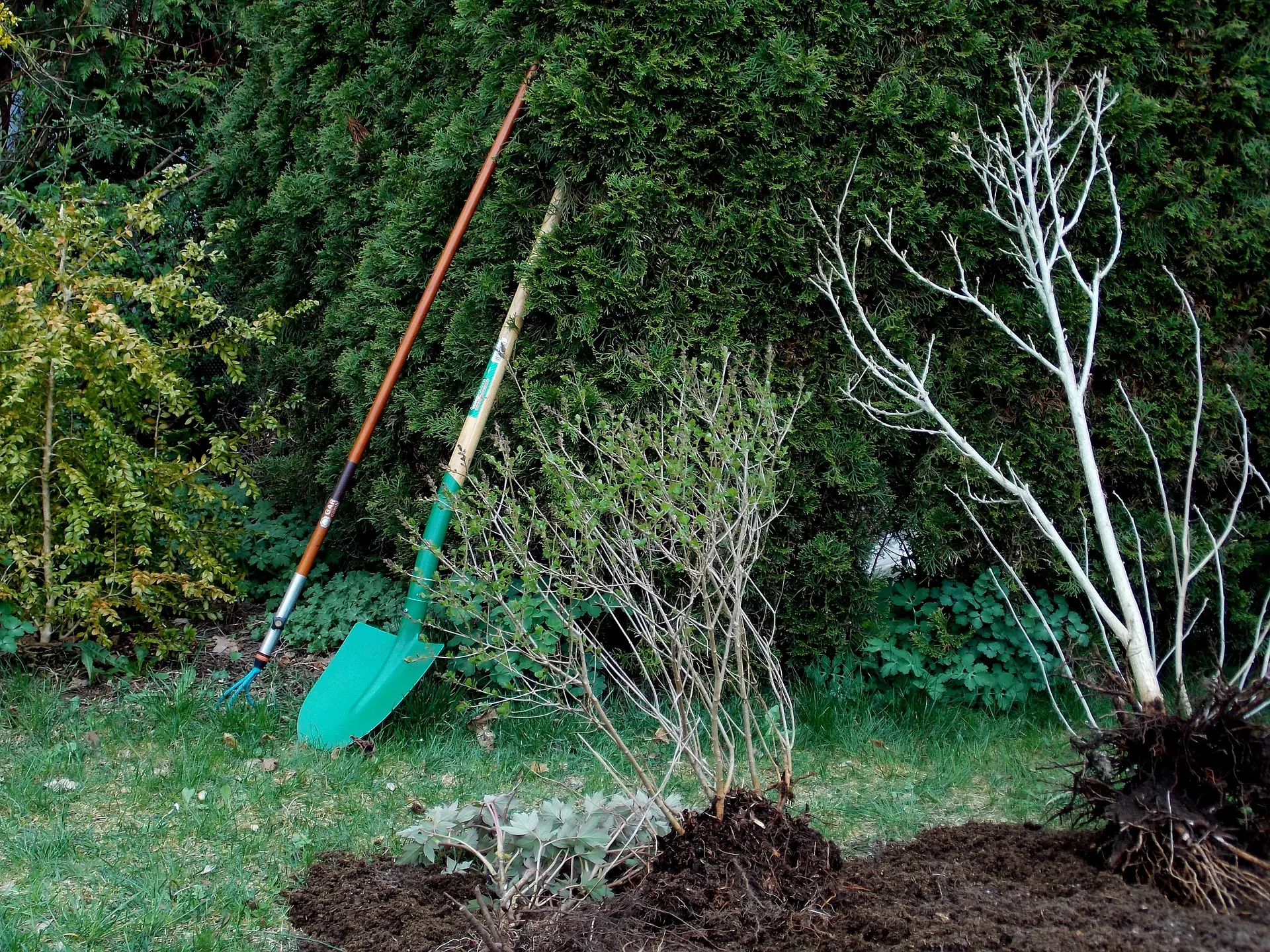 Atelier permaculture