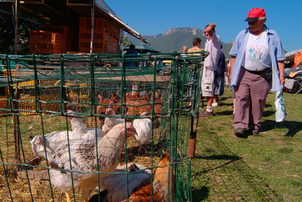 Traditionnelle Foire aux Dindes de Lagrand