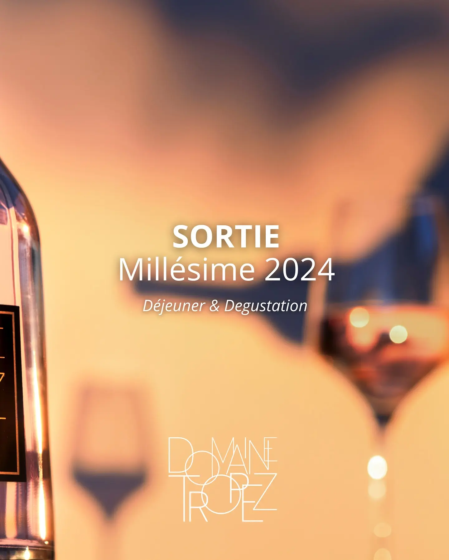 Sortie Millésime 2024 au Domaine Tropez