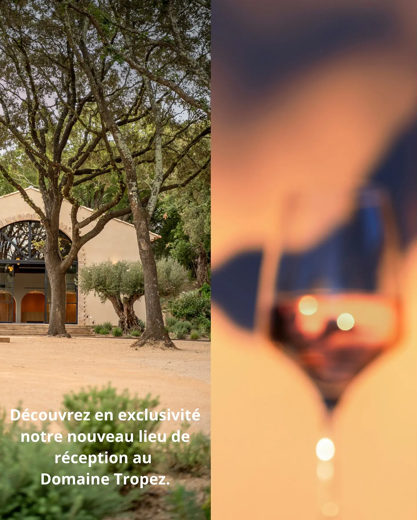 Sortie Millésime au Domaine Tropez