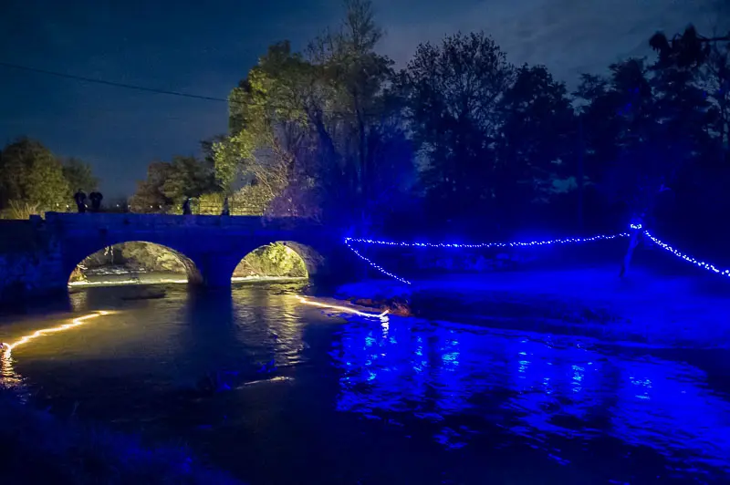 Ronde des sangliers à Saint Martin du Fresne