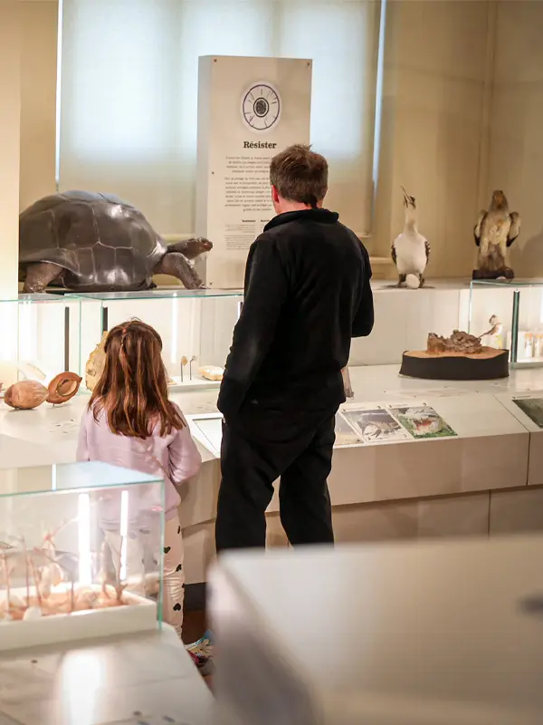 Ville de Marseille - Muséum d'Histoire Naturelle de Marseille (MHNM)