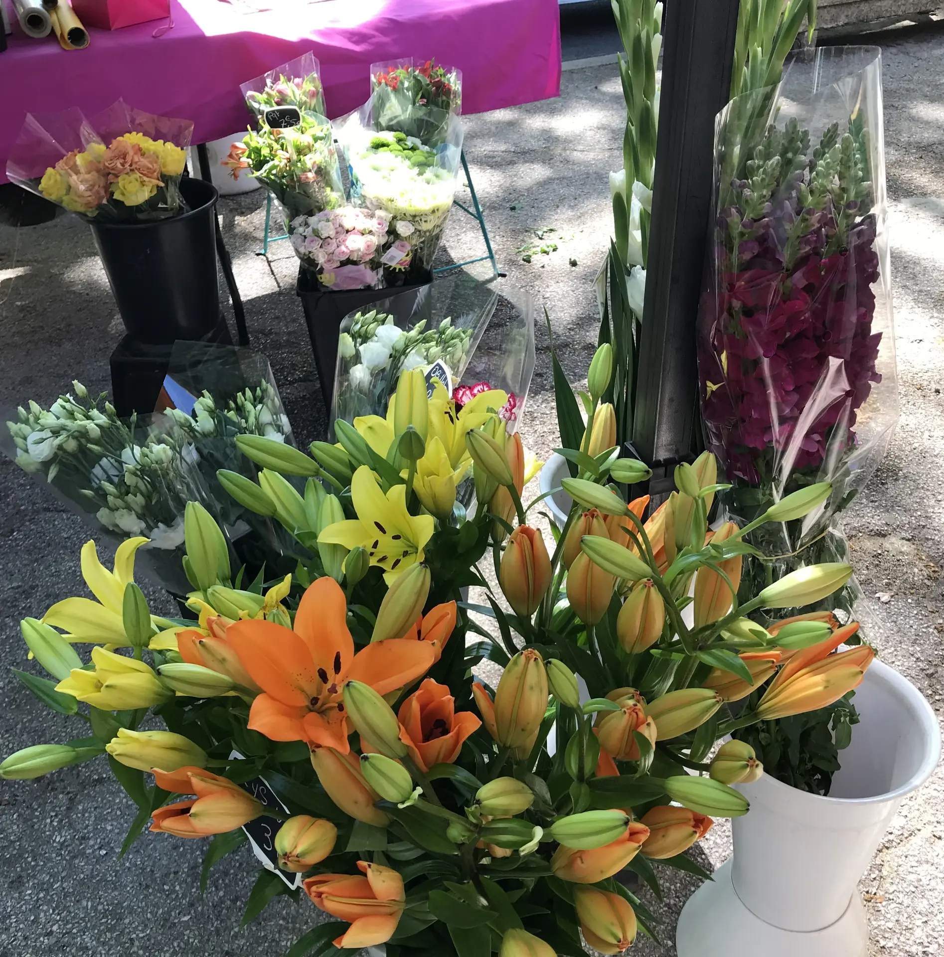 Marché Le Revest les Eaux