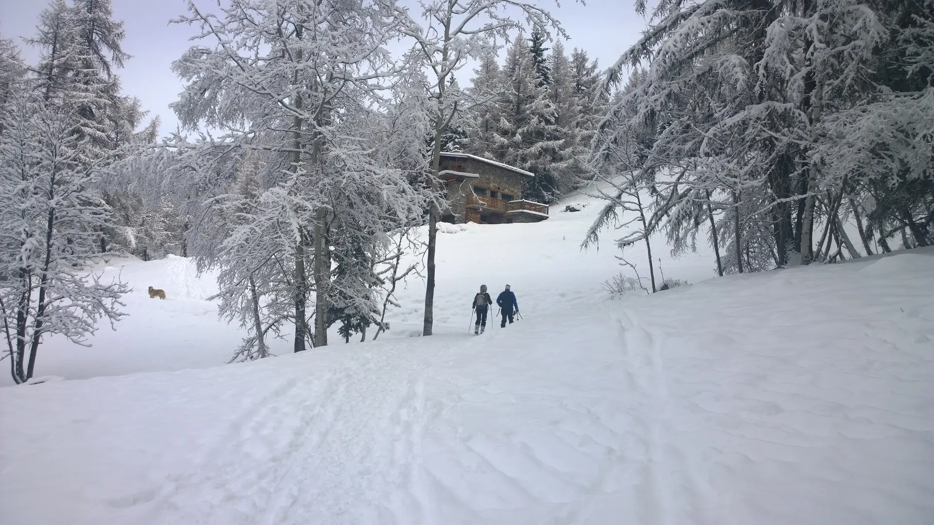 Départ des chemins de ski de randonnée