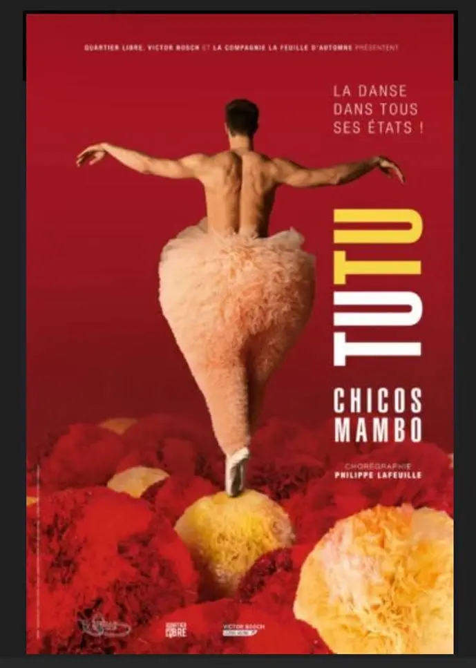 Spectacle de danse de Philippe Lafeuille