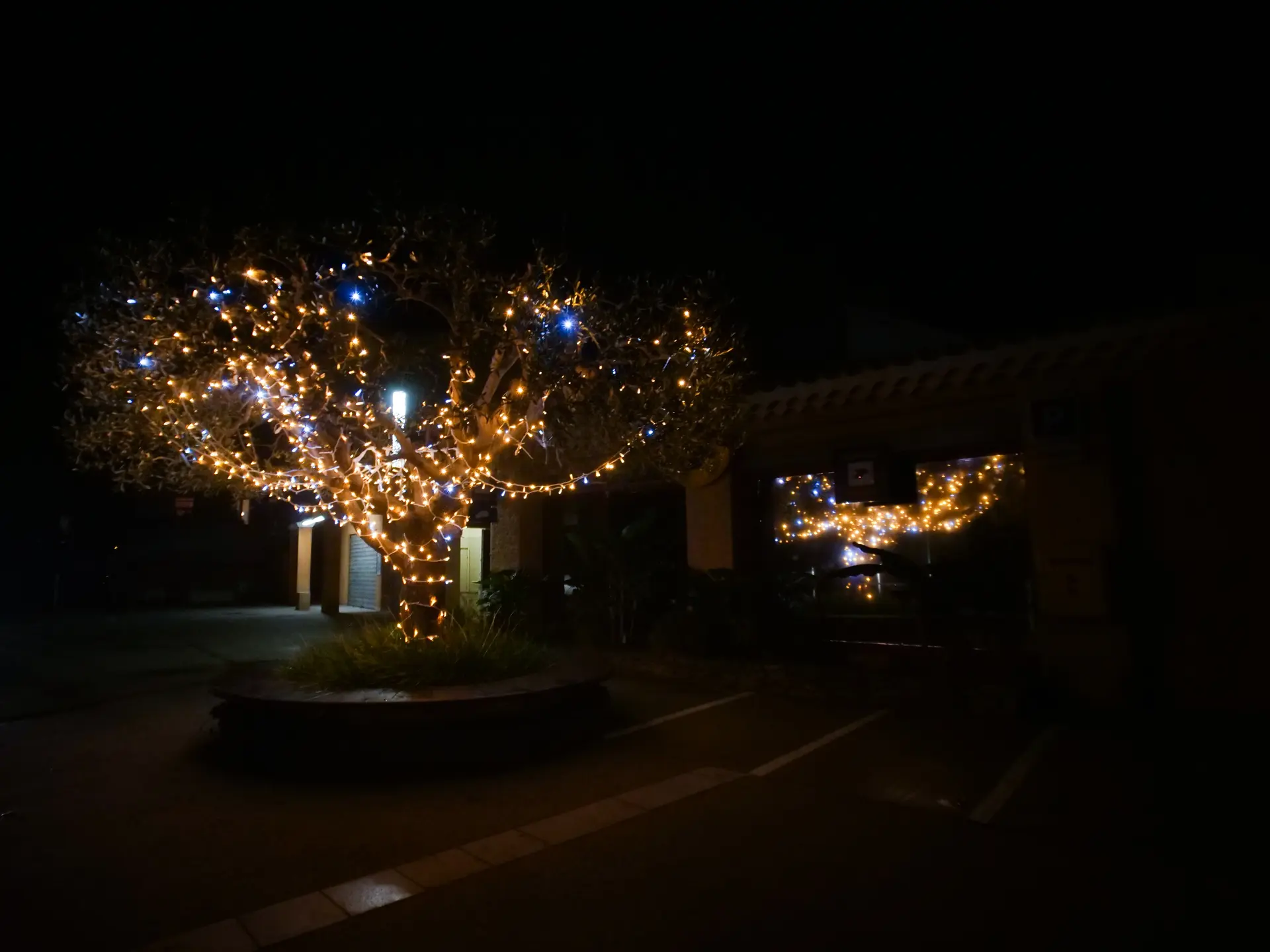 Lancement des illuminations à Saint-Cyr-sur-Mer