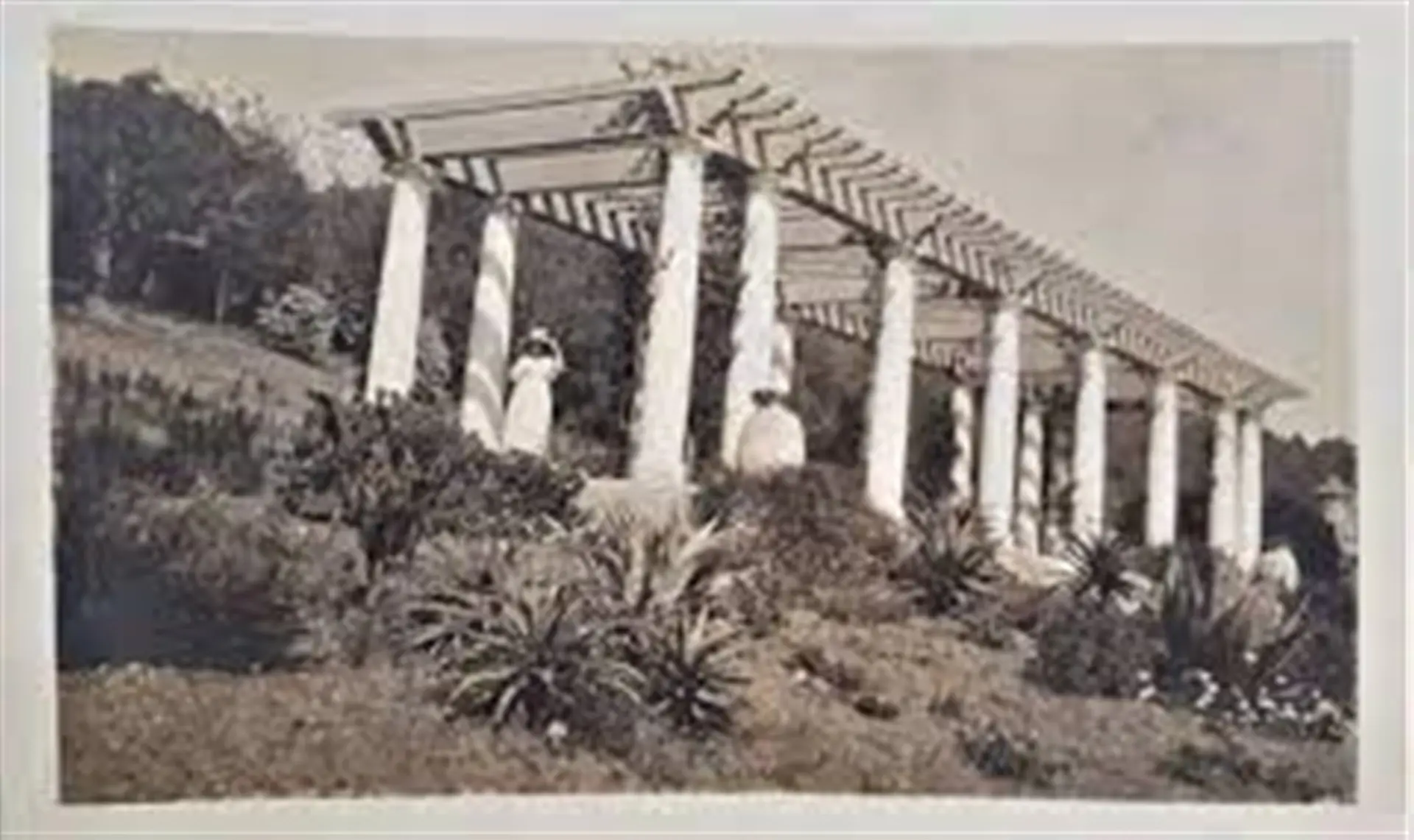 ancienne photo du Rayol