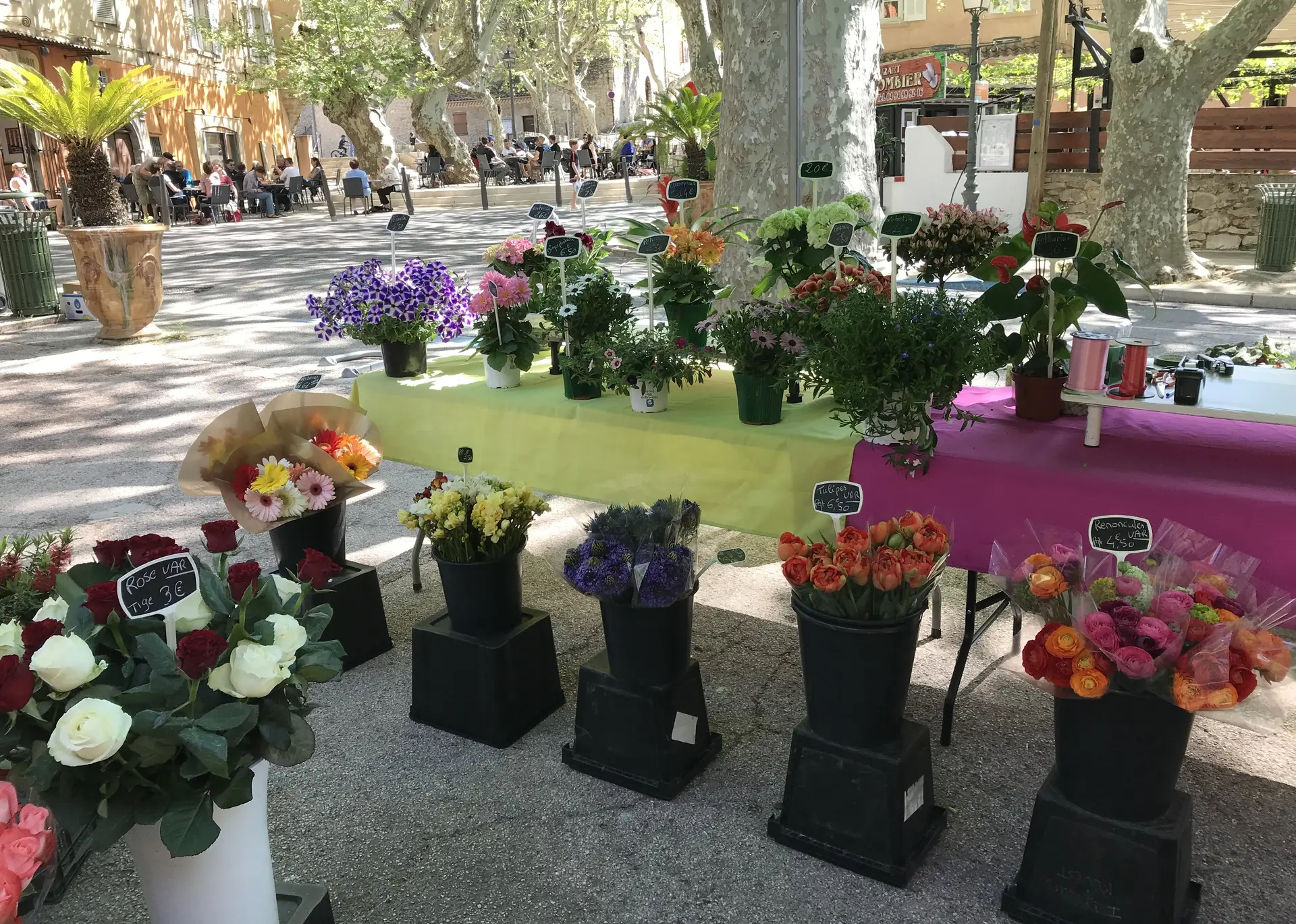 Marché Le Revest les Eaux