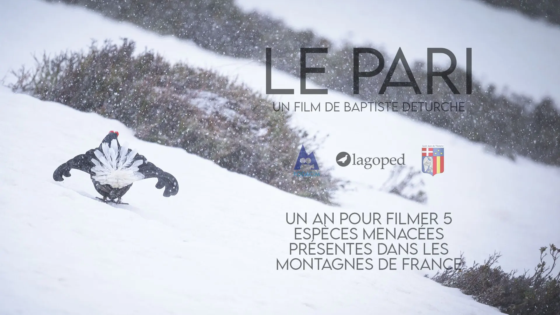 affiche du film