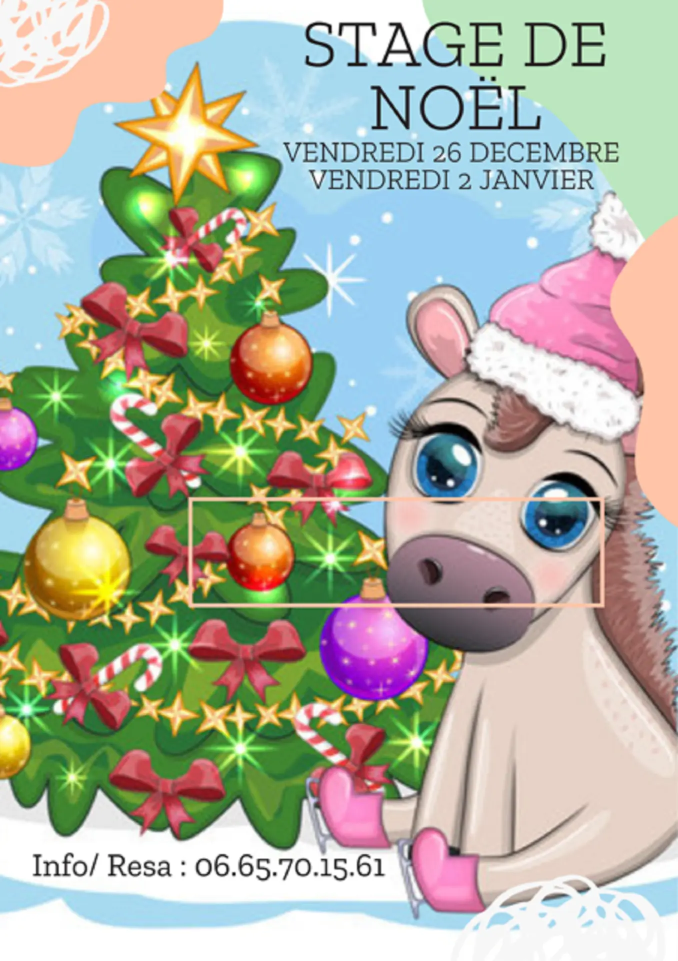 Affiche stage de Noël