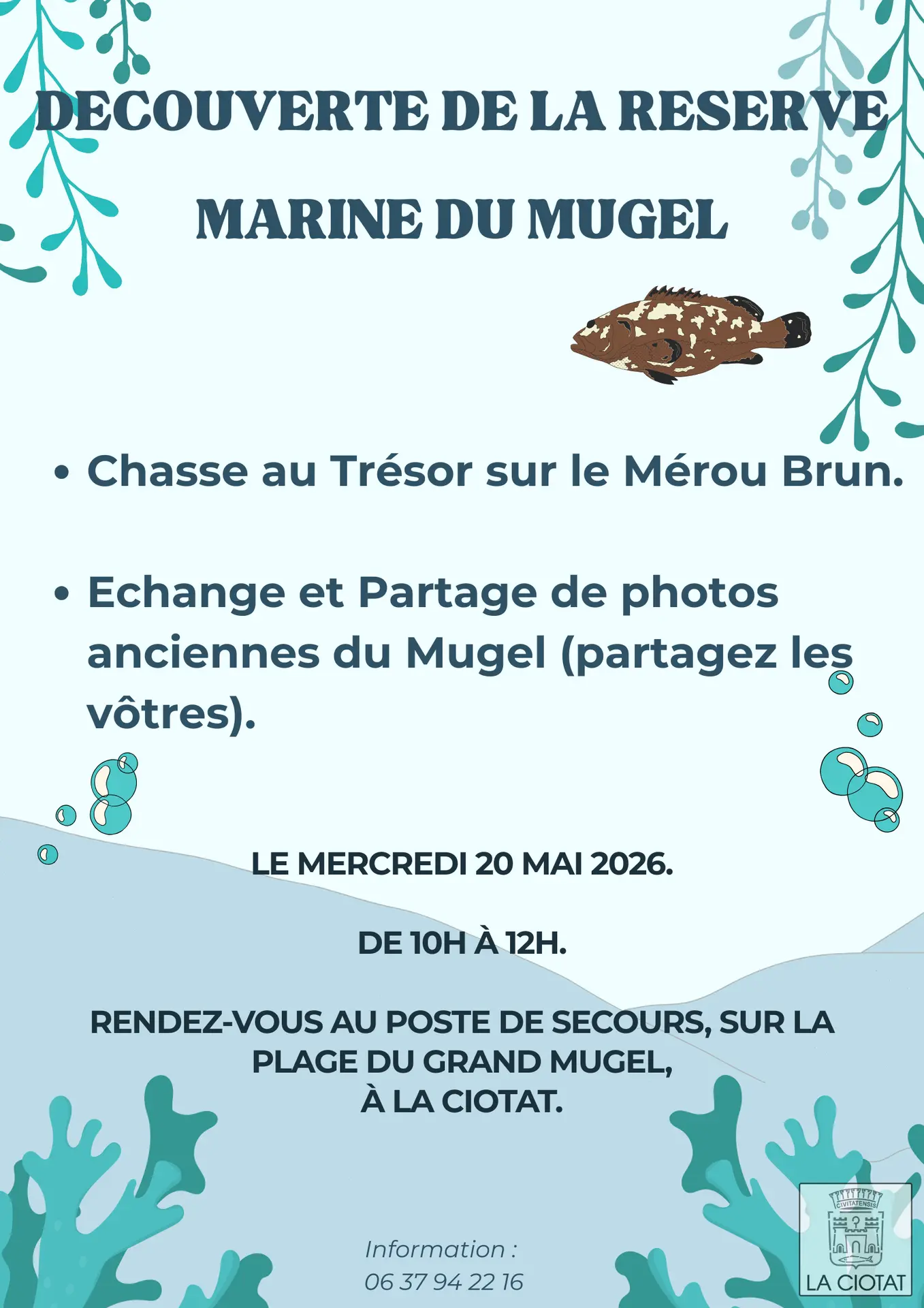 Chasse au trésor sur le mérou brun