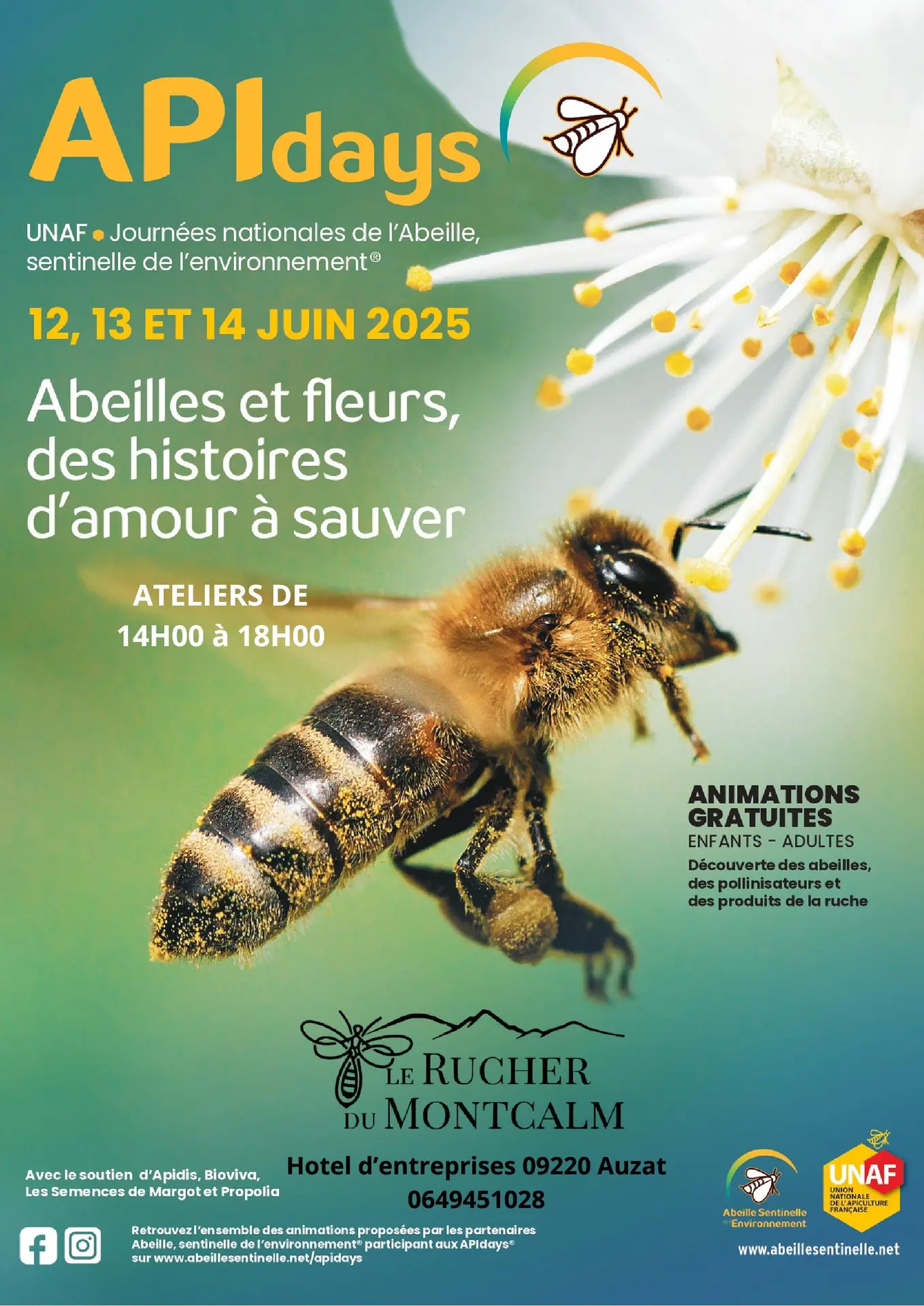 Affiche