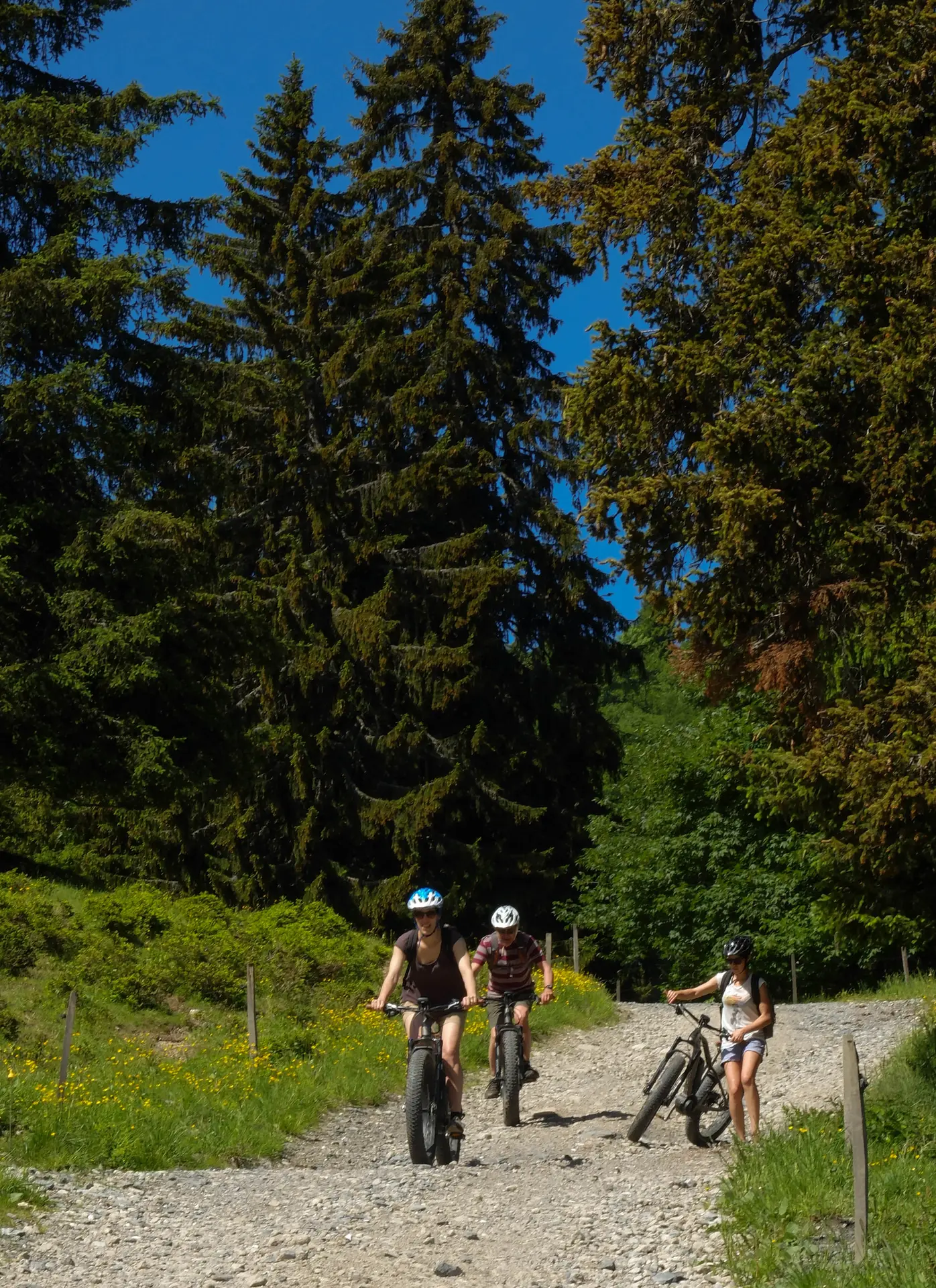 Col du Drayon