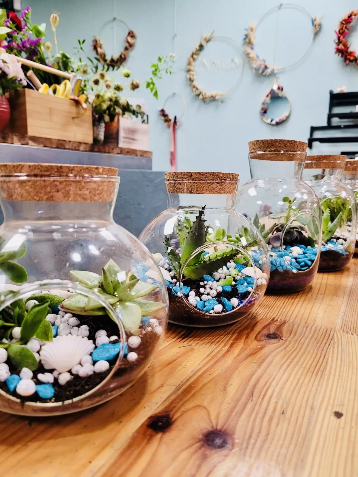 terrarium