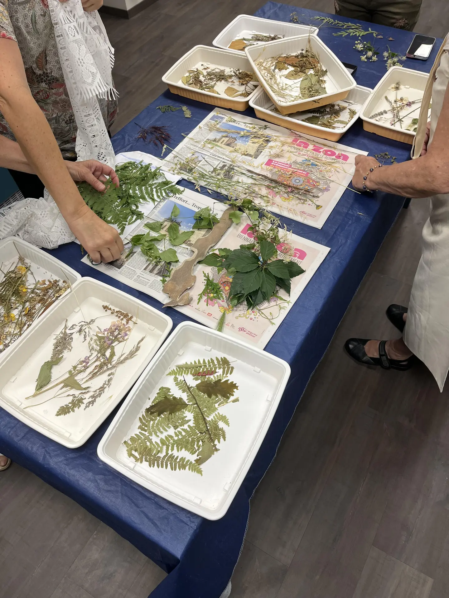 Atelier créatif - Cyanotype