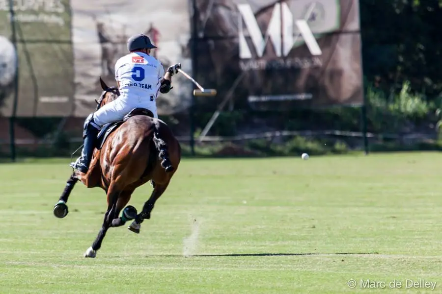 Match de Polo