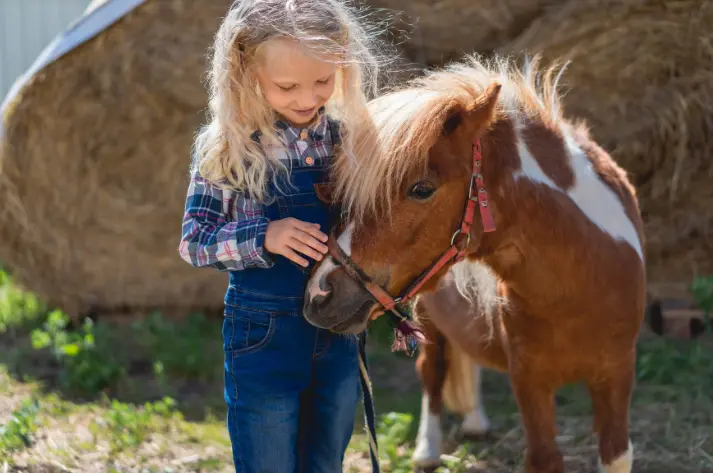 Poneys