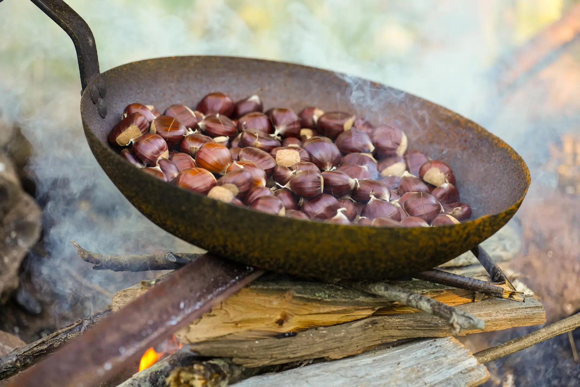 Atelier du petit castanéiculteur à la Châtaigneraie Godissard à Collobrières