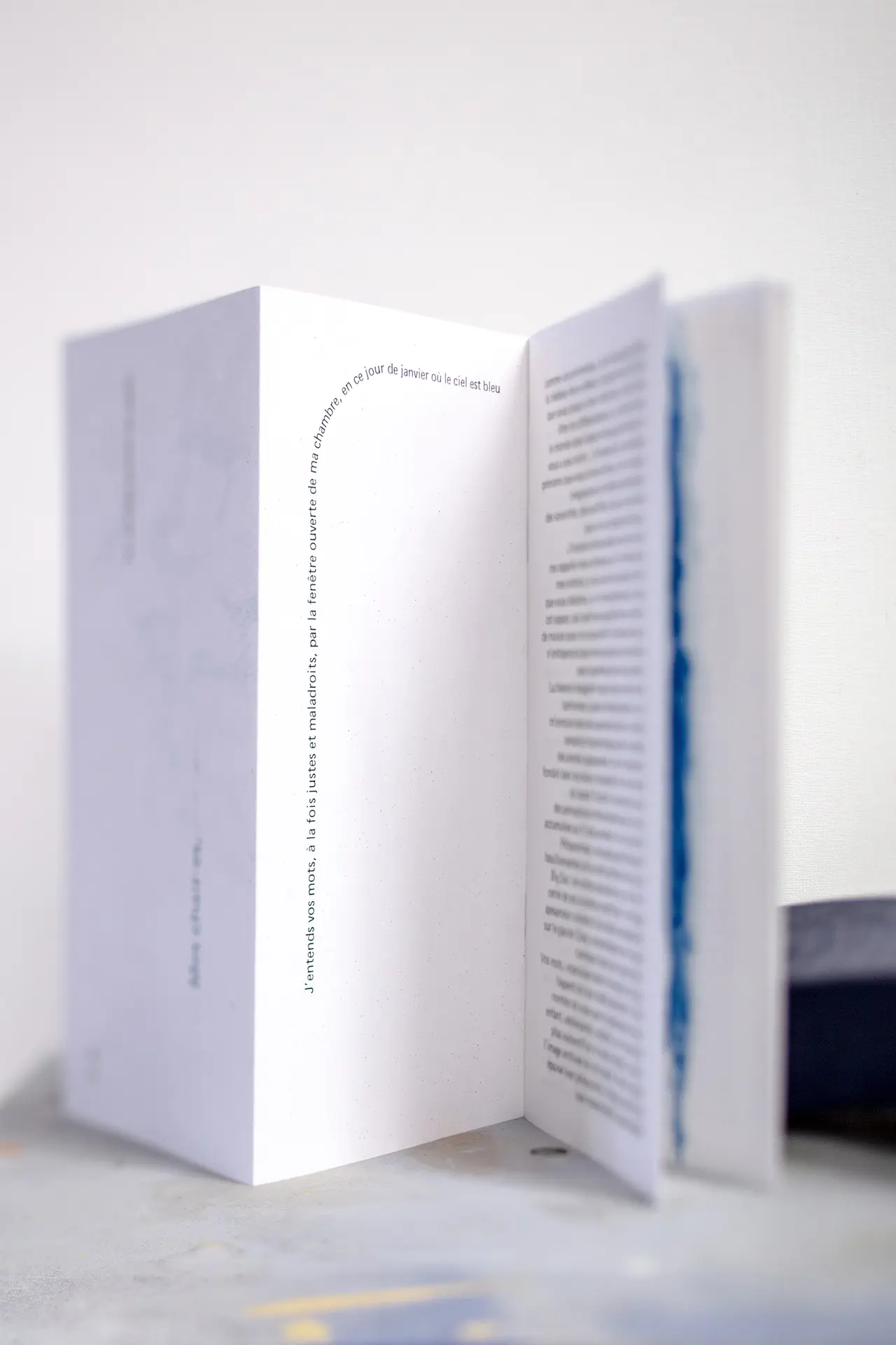 Mes Chair.e.s, lettre-fiction, Editions les murmurations, 2024
