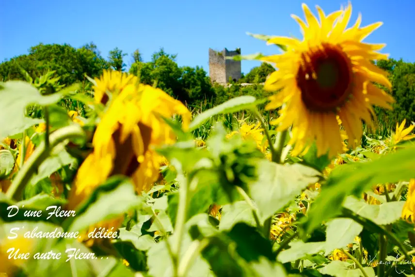 Photo de l'exposition