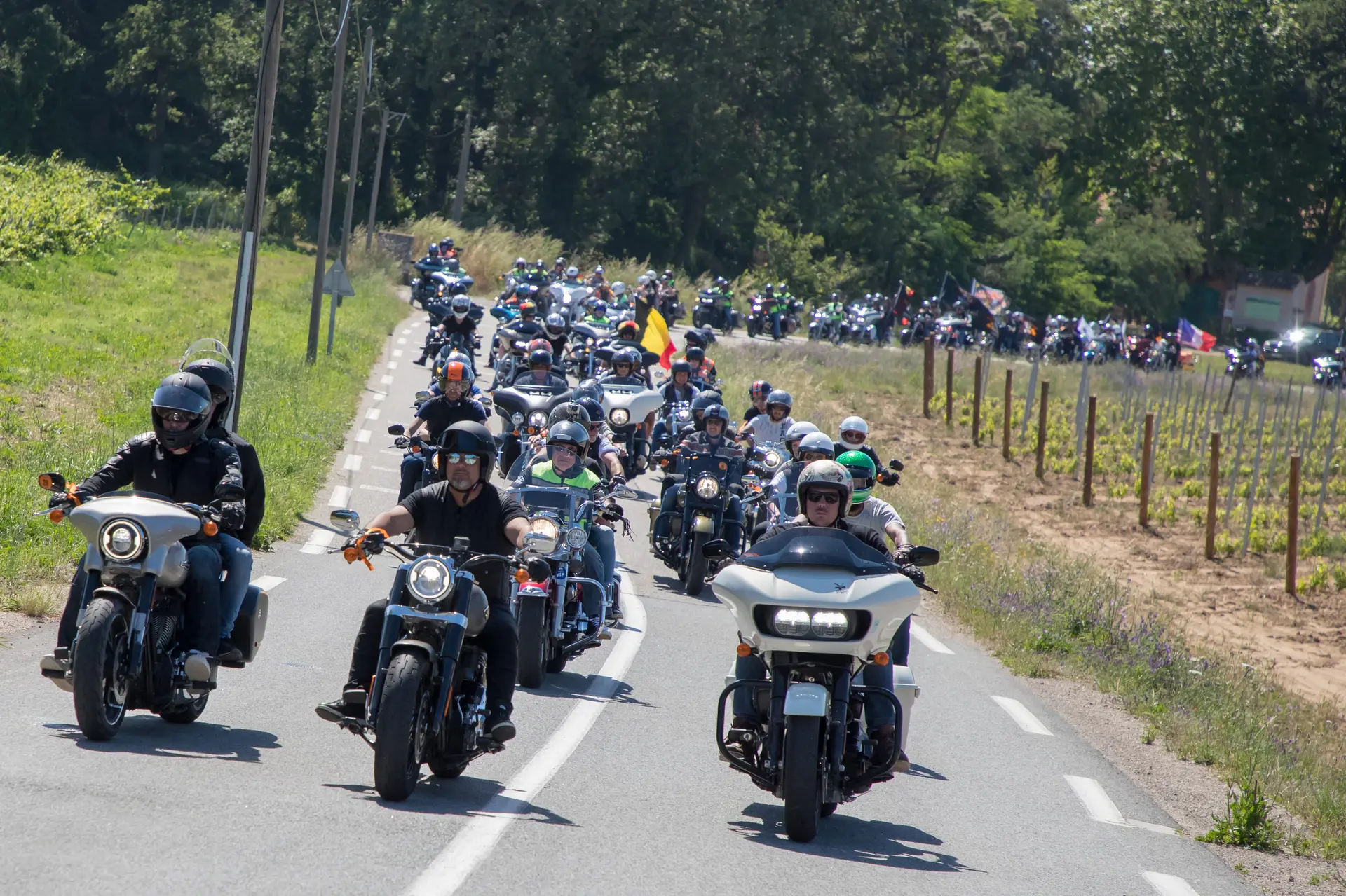 Euro Festival Harley-Davidson à Grimaud