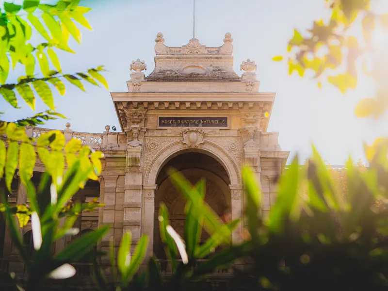 Ville de Marseille -  Muséum d'histoire naturelle de Marseille - (MHNM)