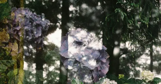 Exposition de Blandine Faure, photographies d'Autoportrait, sur la thématique du cancer, à l'occasion d'Octobre Rose._Samoëns
