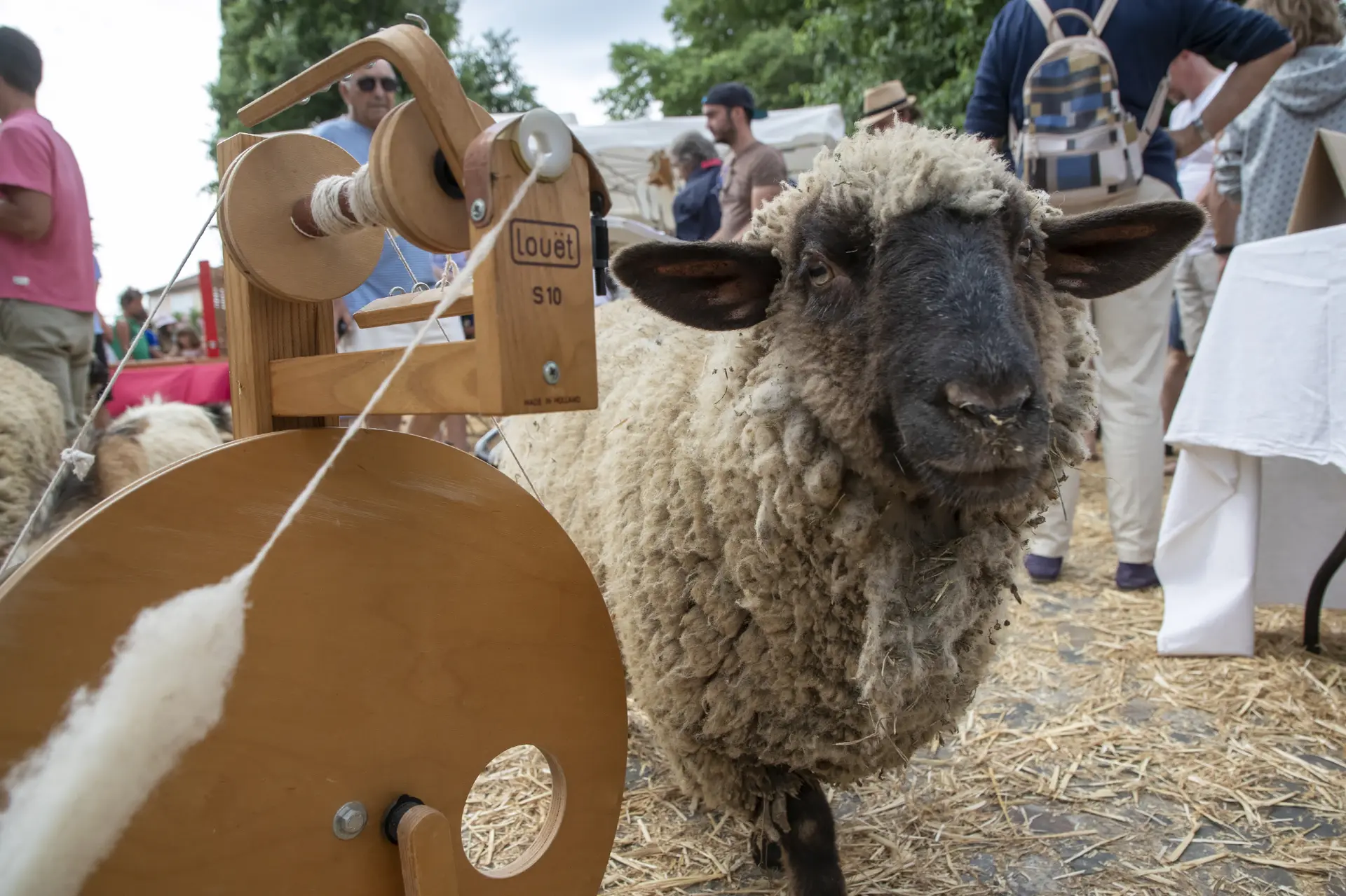Foire de la Laine
