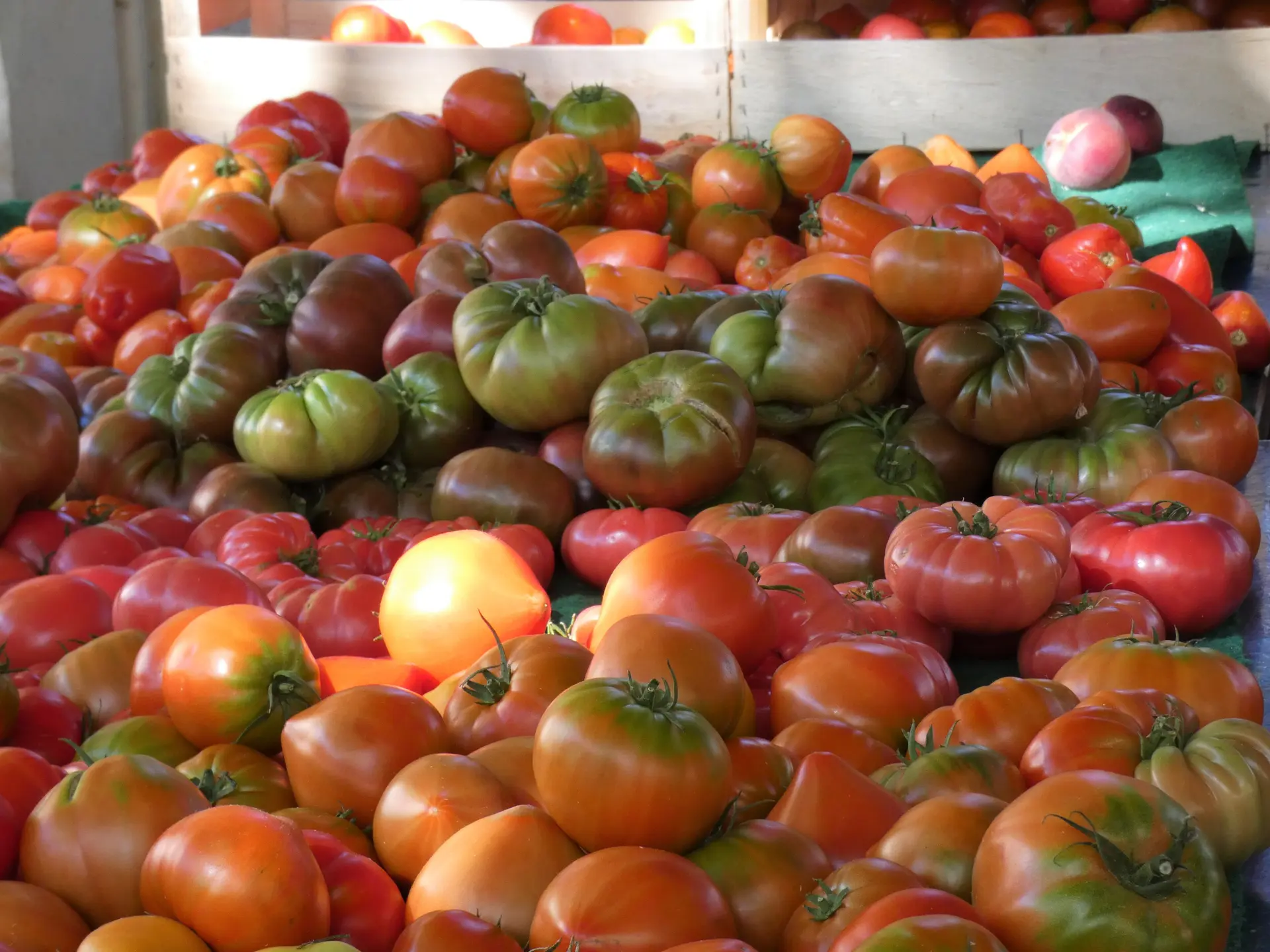 Tomates